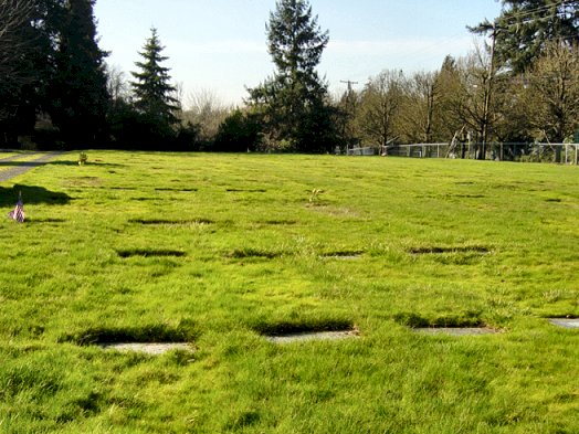 RA Section of Lee Mission Cemetery